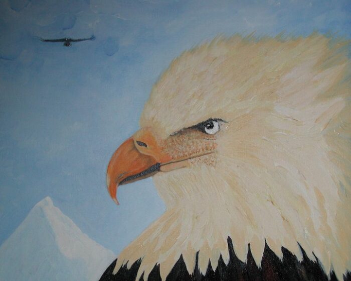 American eagle, painted by Graça Afonso