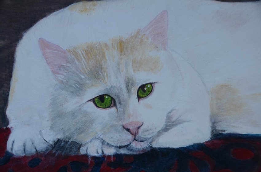 Princess, the cat, painted by Graça Afonso