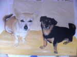 two dogs on bed, painted by Graça Afonso