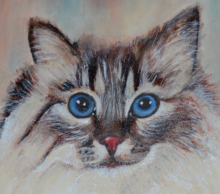 Blue eyes, painted by Graça Afonso